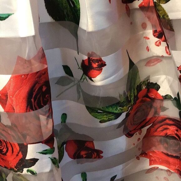 Skirt beautiful sheer rose and tulle skirt by BLVD size small - Picture 3 of 6